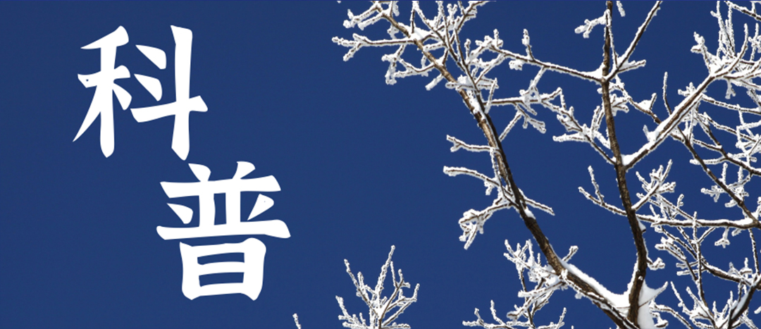 科普 | 冬季雨雪天氣?；愤\(yùn)輸車輛注意事項(xiàng)