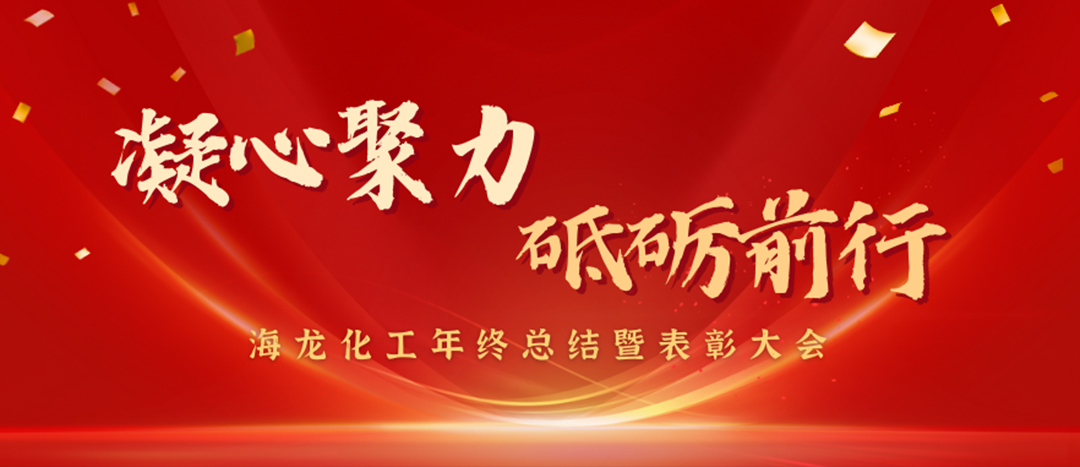 表彰 | 凝心聚力，砥礪前行，海龍化工年終總結(jié)暨表彰大會圓滿舉行